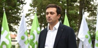 “მონდომების შემთხვევაში, მელიას გასათავისუფლებლად მოინახება იურიდიული მექანიზმები”