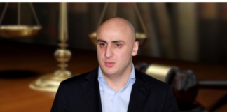 ნიკა მელია თავისუფალია