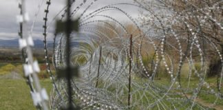 ოკუპირებულ ტერიტორიაზე საქართველოს კიდევ ერთი მოქალაქე დააკავეს