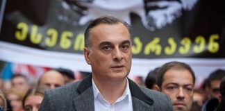 უდუმაშვილი ღარიბაშვილის წარდგენაზე: მეორედ მოსვლა უნდა დასრულდეს