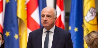 ჯაფარიძე: დღეს უნდა გათავისუფლდეს რურუა