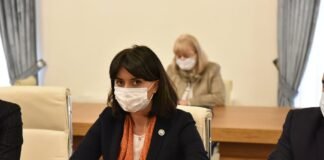 კომიტეტის სხდომაზე ნინო ლაცაბიძემ საკუთარ ოლქში ახალგაზრდების გამოწვევებზე ისაუბრა