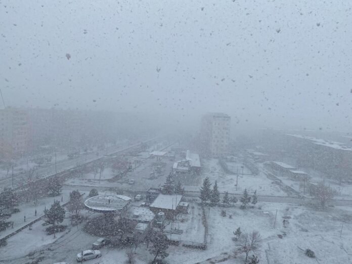 158560913_1081596138992500_6418242878045617287_n