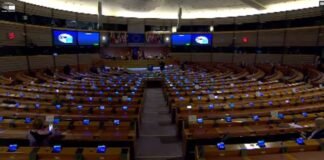 ევროპარლამენტში საქართველოს საკითხის განხილვისას შუქი ჩაქრა