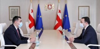 მთავრობის ადმინისტრაციის უფროსად ილია დარჩიაშვილი დაინიშნა