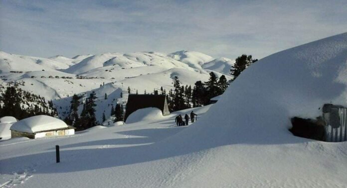 1615533268-159865249_4633126720034755_786740588155248051_n