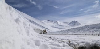 გადაადგილების შეზღუდვა გზებზე – ინფორმაციას გზების დეპარტამენტი ავრცელებს
