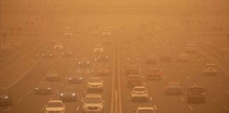 ჩინეთს ყველაზე მასშტაბური ქვიშის ქარიშხალი დაატყდა თავს