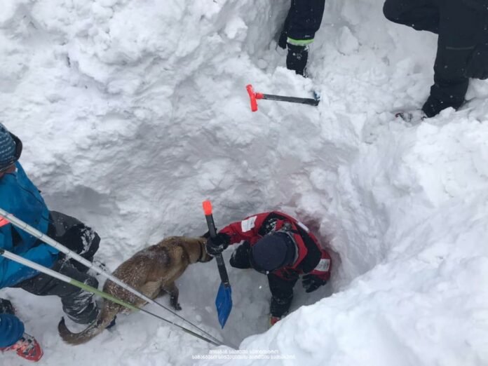 161833023_2532988807005336_1242134638310605064_o