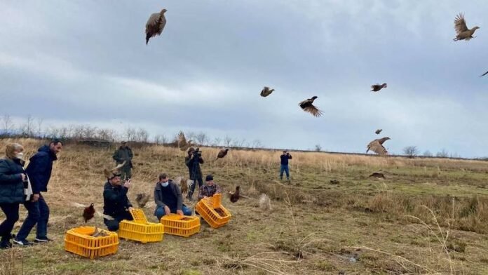 165304914_493342638358178_4412325773345948716_n