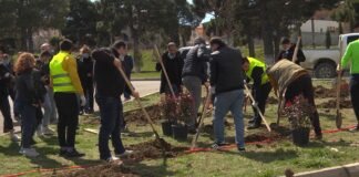 რუსთავში გამწვანების აქცია გაიმართა