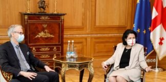 კრისტიან დანიელსონი სალომე ზურაბიშვილს ხვდება