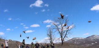 ბოლნისში 60 ფრთა კოლხური ხოხობი გაუშვეს, ხოლო მდინარის აუზი კალმახით დაათევზიანეს