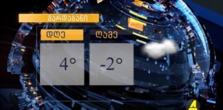 ქრონიკა 20:30-ზე 11.03.2021
