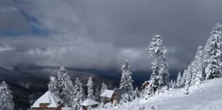 უბედური შემთხვევა გომის მთაზე – გარდაიცვალა ახალგაზრდა მამაკაცი