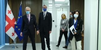კრისტიან დანიელსონი მესამე სექტორის წარმომადგენლებს შეხვდა