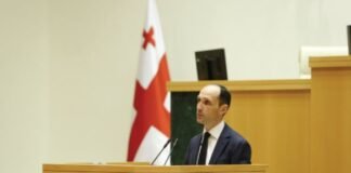 დავითაშვილი: ჰაერის მართვის გეგმა, რუსთავში 60 მილიონიან დანახარჯებს ითვალისწინებს