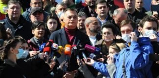 უდუმაშვილი: ოპოზიცია მუშაობის საგანგებო რეჟიმზე გადადის