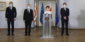 თეა წულუკიანმა მოადგილეები წარადგინა