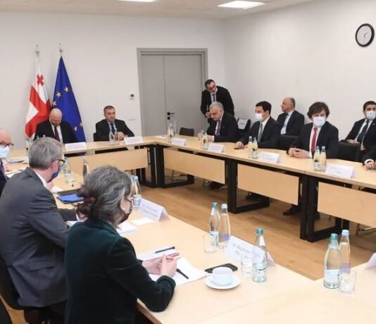 კრისტიან დანიელსონი „ოცნებასა” და ოპოზიციას გაერთიანებულ ფორმატში ხვდება