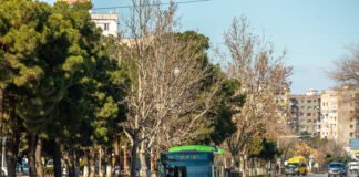 ავტობუსების მომსახურების საათები ზოგიერთ მარშრუტზე გახანგრძლივდა