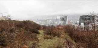 სხვისი ქონების მოტყუებით დაუფლების ფაქტი