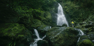 საქართველოში კიდევ ერთი ეროვნული პარკის შექმნა იგეგმება