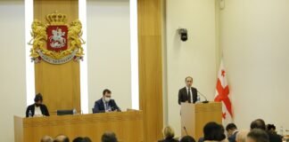 დავითაშვილი: მყინვარების დნობაზე „ნამახვანის“ წყალსაცავი გავლენას არ მოახდენს