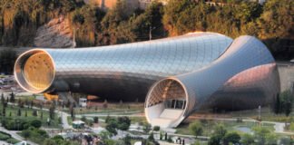 რიყის დოქები განმეორებით აუქციონზეც ვერ გაიყიდა