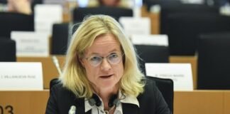 ვიოლა ფონ კრამონი: საქართველო და ევროკავშირი შესანიშნავი წყვილია