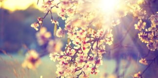 16-18 მარტის ამინდის პროგნოზი