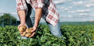 რა კრიტერიუმებს უნდა აკმაყოფილებდეს გერმანიაში დასაქმების მსურველი?