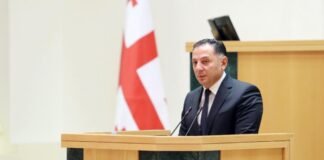 გომელაური: შემცირდა ისეთი დანაშაულები, როგორებიც არის მკვლელობის მცდელობა, ყაჩაღობა