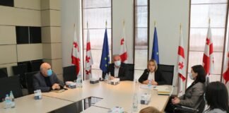 სამოქალაქო თანასწორობისა და ინტეგრაციის პოლიტიკა- შეხვედრა სამხარეო ადმინისტრაციაში