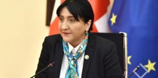 ირმა ინაშვილი: უნდა დაინიშნოს ახალი არჩევნები