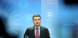 მამუკა მდინარაძე ფარულ ჩანაწერებთან დაკავშირებით გამოძიების დაწყებას ეხმაურება