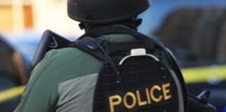 ფონიჭალასა და მარნეულში პოლიციამ 11 ნარკორეალიზატორი დააკავა