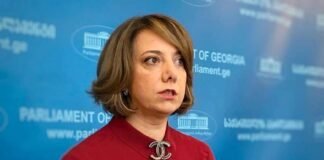 სამადაშვილი: ჩავთვლით, რომ მონახაზი იქნება კარგი სამოქმედო გეგმა