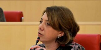 სამადაშვილი მოლაპარაკებებზე: მიშელმა ღარიბაშვილს, სამწუხაროდ, ყური არ აუწია