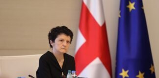 წულუკიანი: ნიკა მელია ციხეში, როგორც ინსტრუმენტი, მის გარემოცვას აწყობს