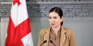 სტრატეგიული კომუნიკაციების დეპარტამენტის უფროსად ნინო გიორგობიანი დაინიშნა