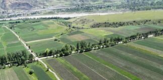 სასოფლო-სამეურნეო მიწის რესურსზე ხელმისაწვდომობის პროგრამა ფართოვდება