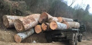 ხე-ტყის უკანონო ტრანსპორტირების ფაქტი