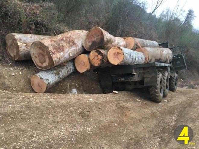 1618989371-ცე-e1618989380504