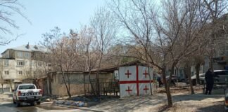 რუსთავის საკრებულოს წევრი დაჭრეს