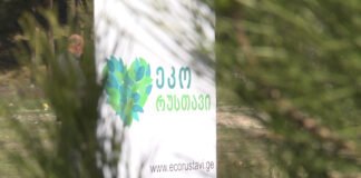 რუსთავში მორიგი გამწვანების აქცია გაიმართა (+ვიდეო)