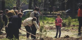 “გაამწვანე შენი სკოლა” – ახალი ინიციატივა რუსთავში