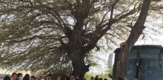 საპროტესტო აქცია გარდაბანში – “პლანტას” სათბურში დასაქმებულები გაიფიცნენ