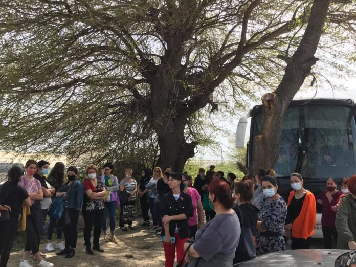 174229761_296982101795527_7049093590892284855_n