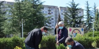 დაბა კაზრეთში გამწვანების აქცია მოეწყო